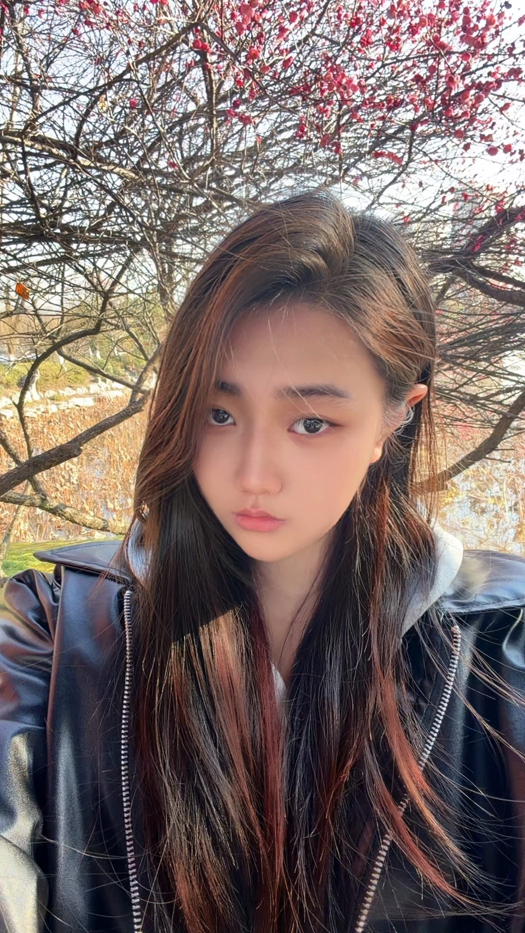 1772699440455951.jpg 1772699440455951.jpg