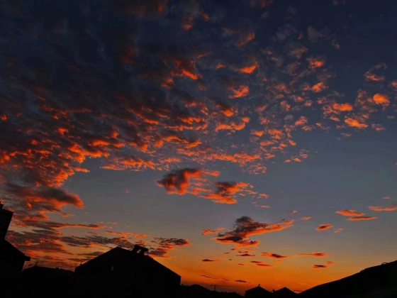 1774320054330000.png 1774320054330000.png